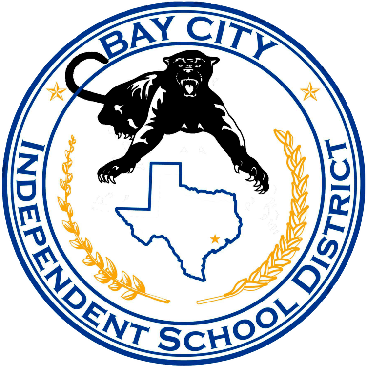 System Logo