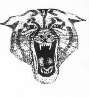 System Logo