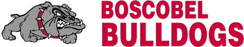 System Logo