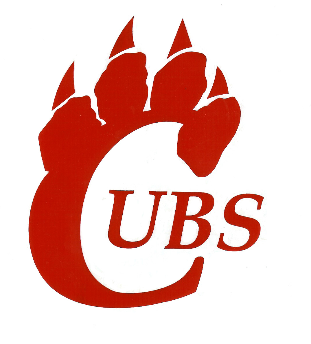 System Logo