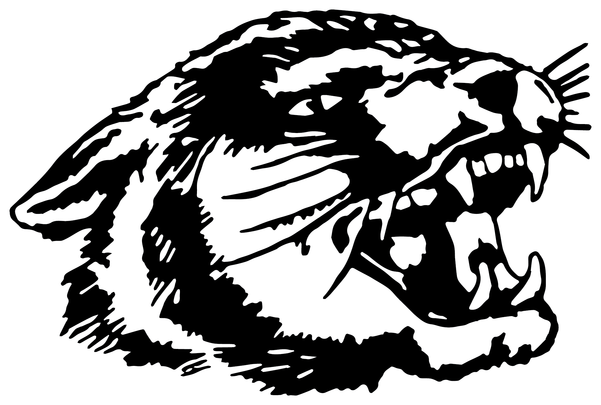 System Logo