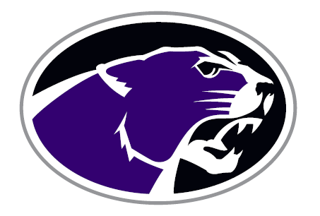 System Logo