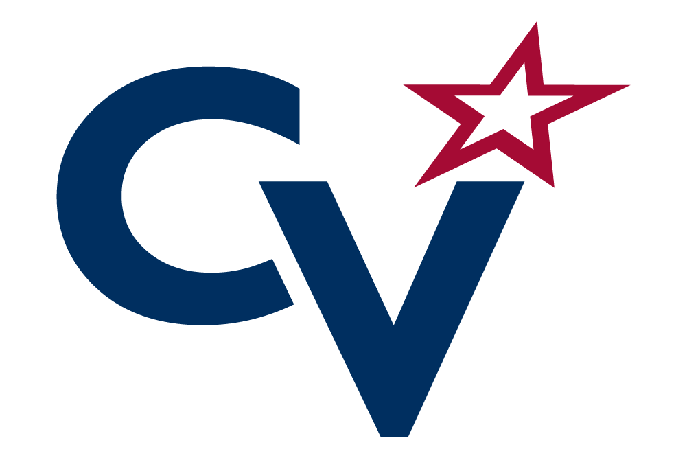 System Logo