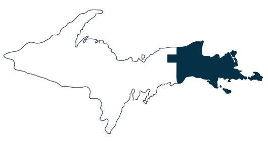 System Logo