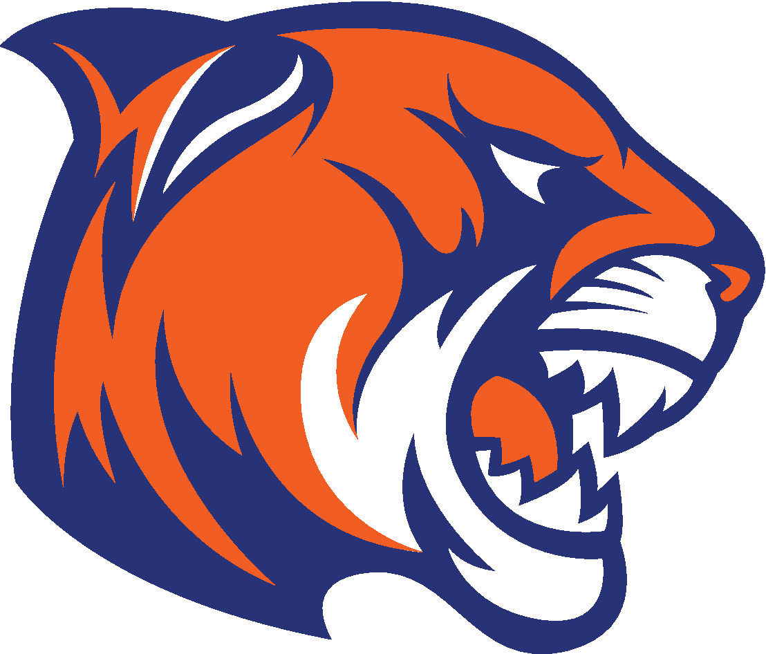 System Logo
