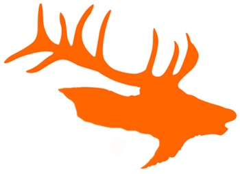 System Logo