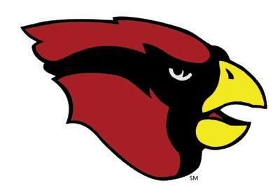 System Logo