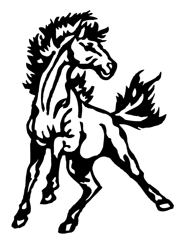 System Logo