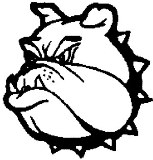 System Logo