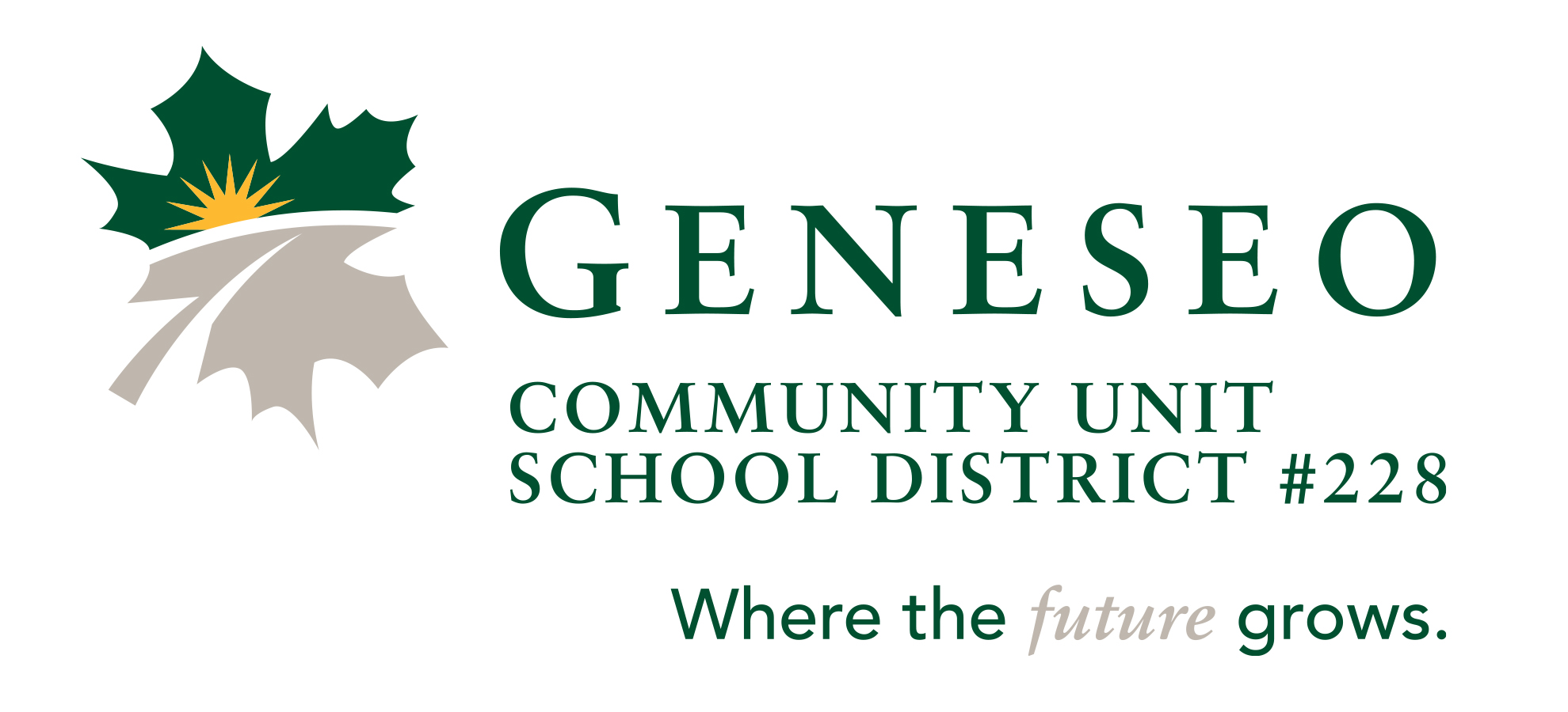 System Logo