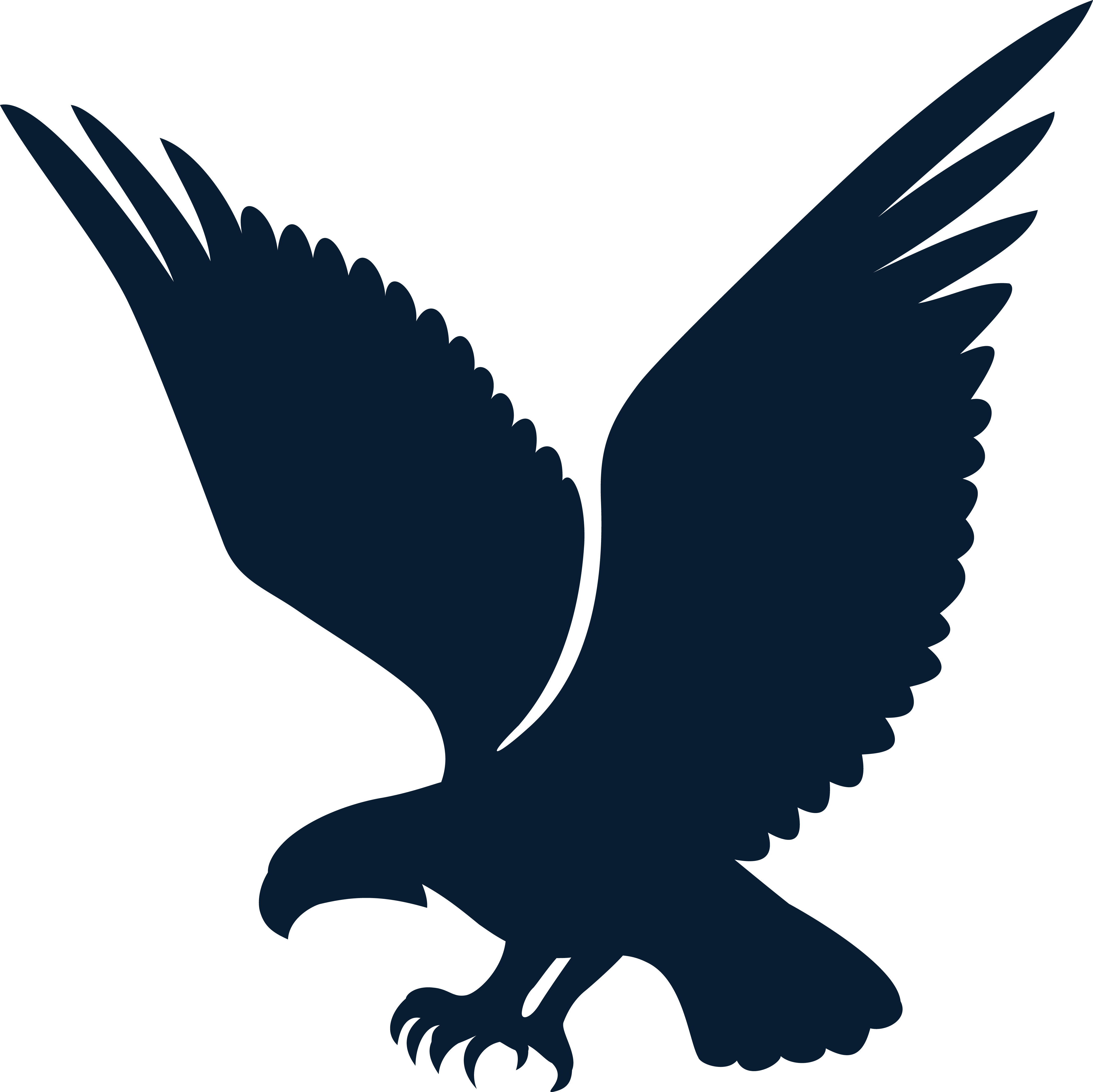 System Logo
