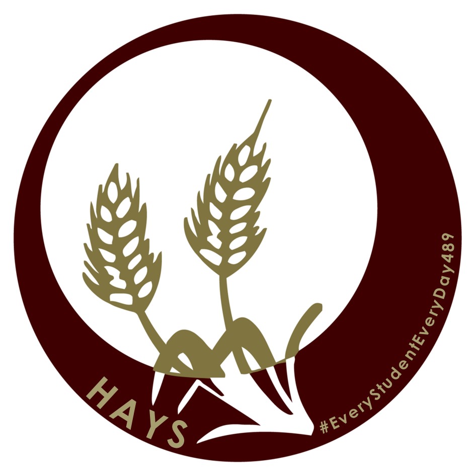 System Logo