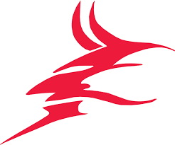 System Logo