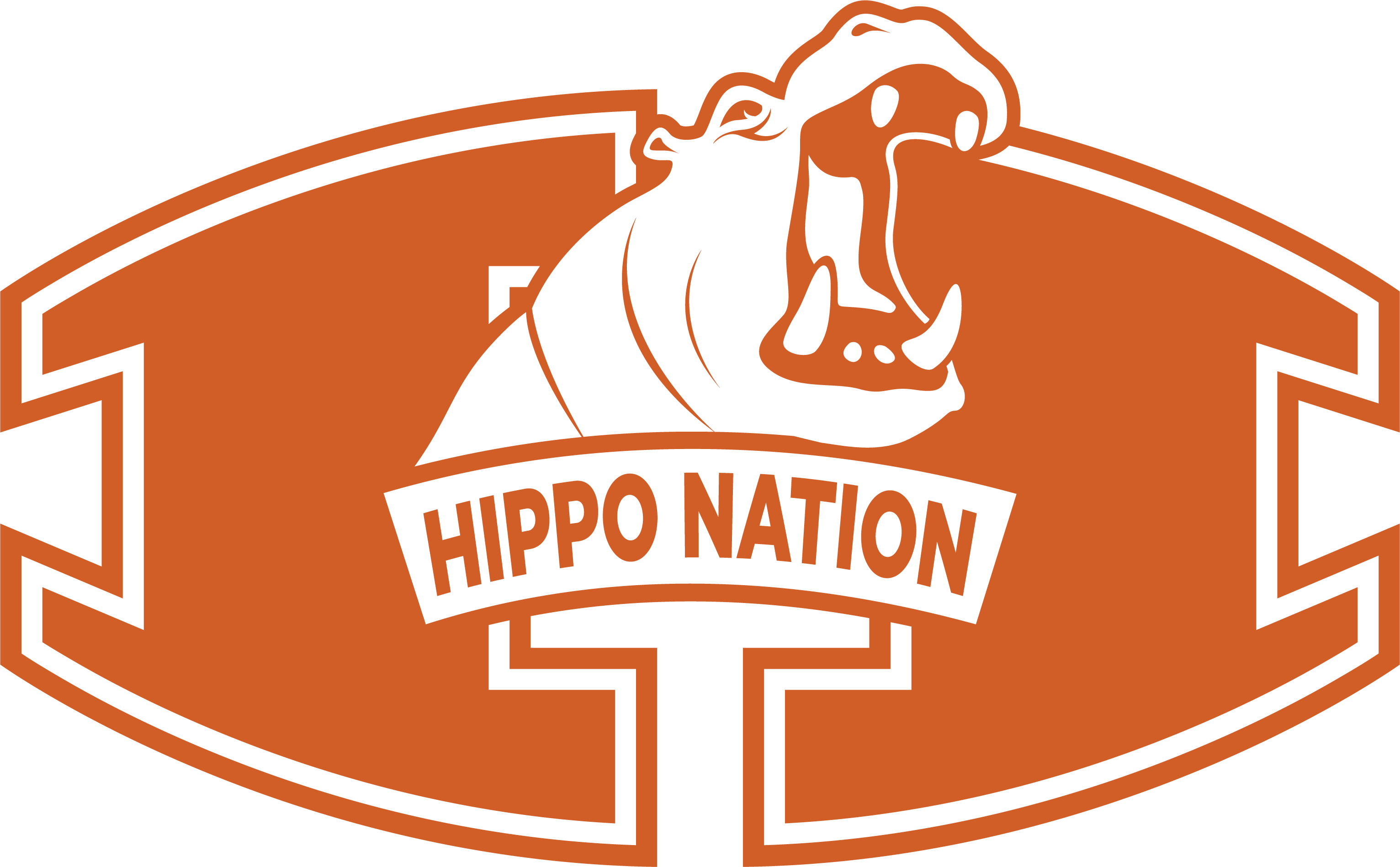 System Logo