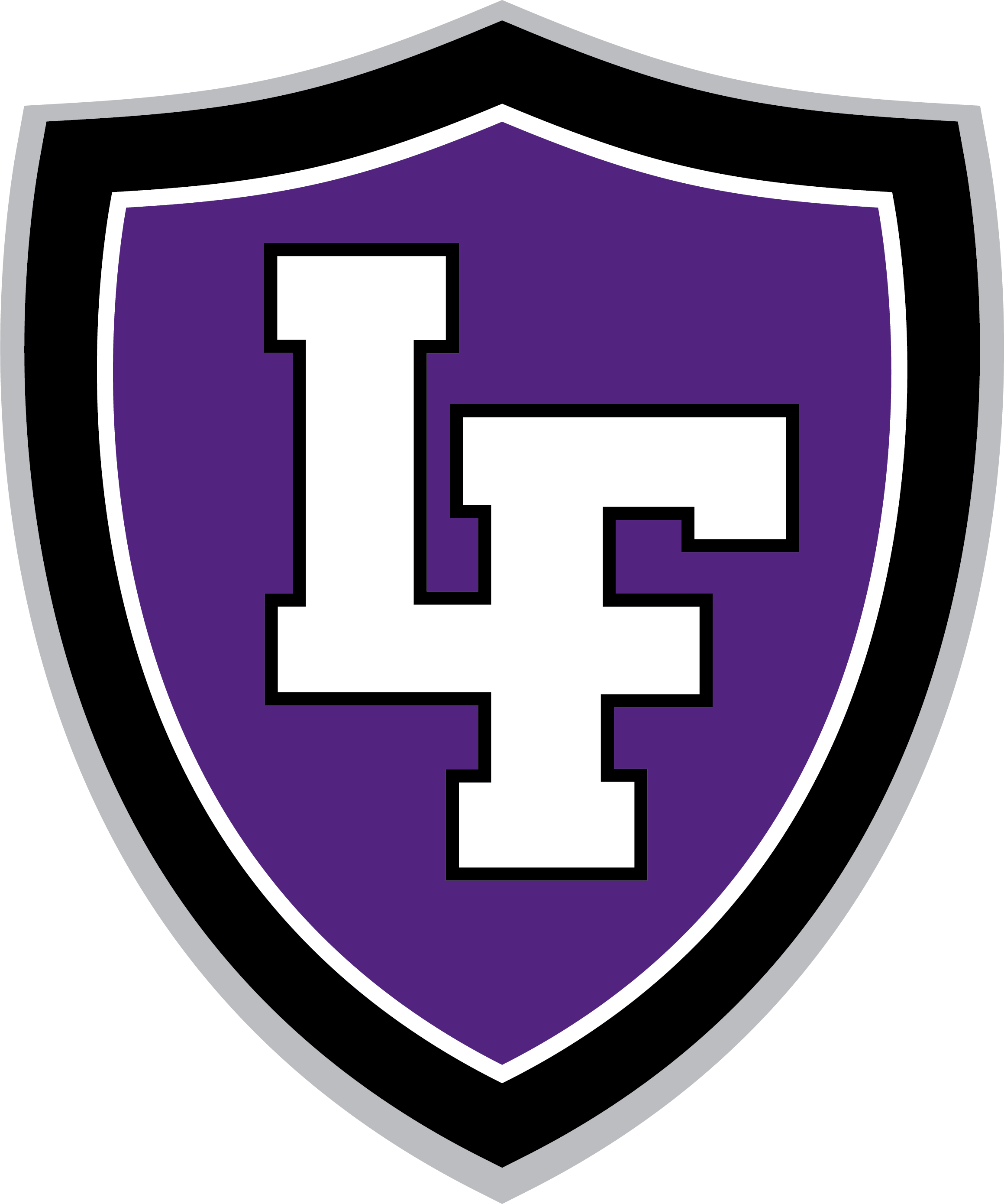 System Logo