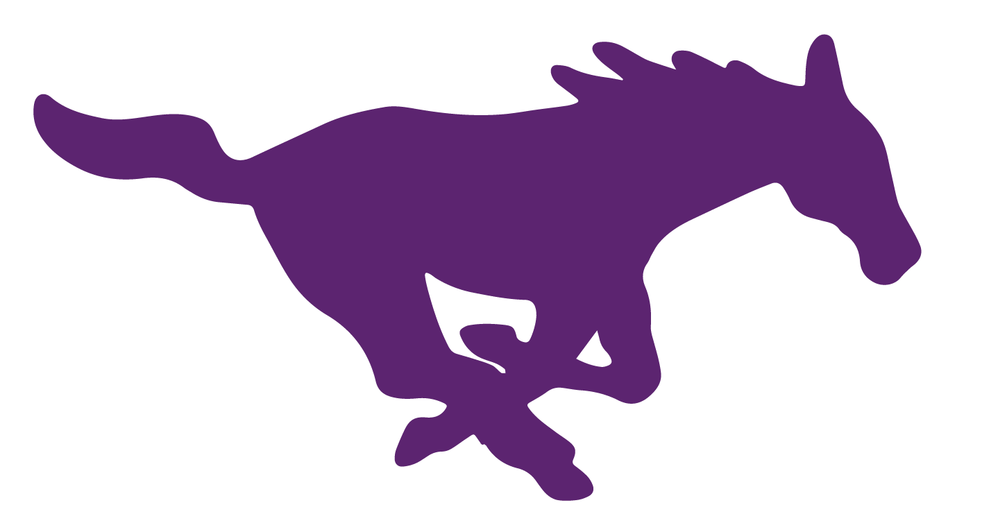 System Logo