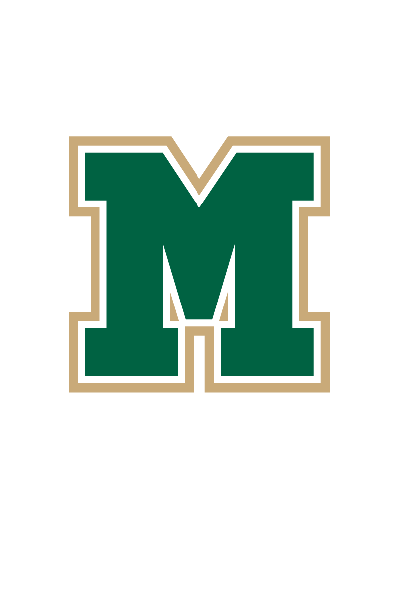 System Logo