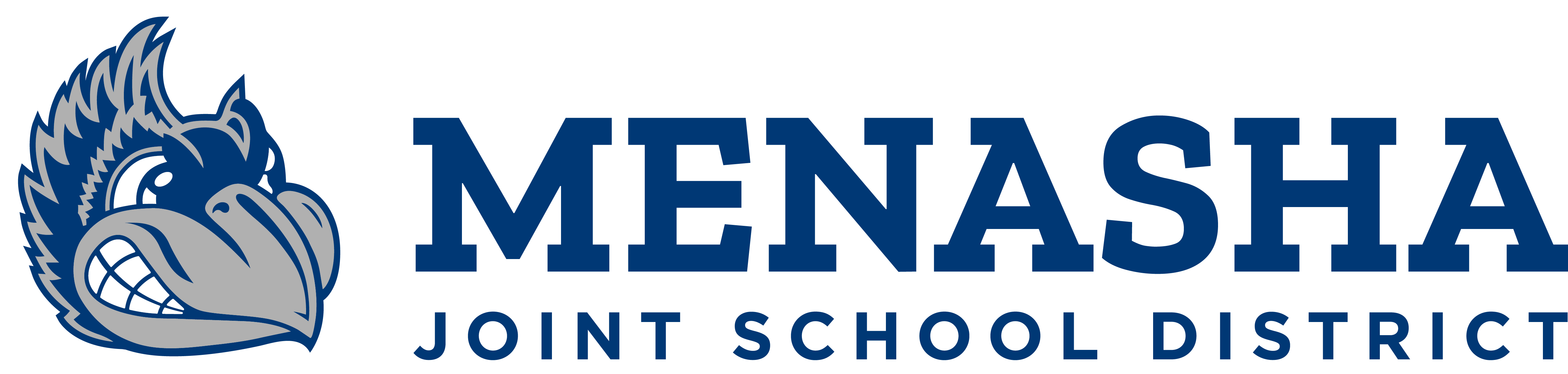 System Logo