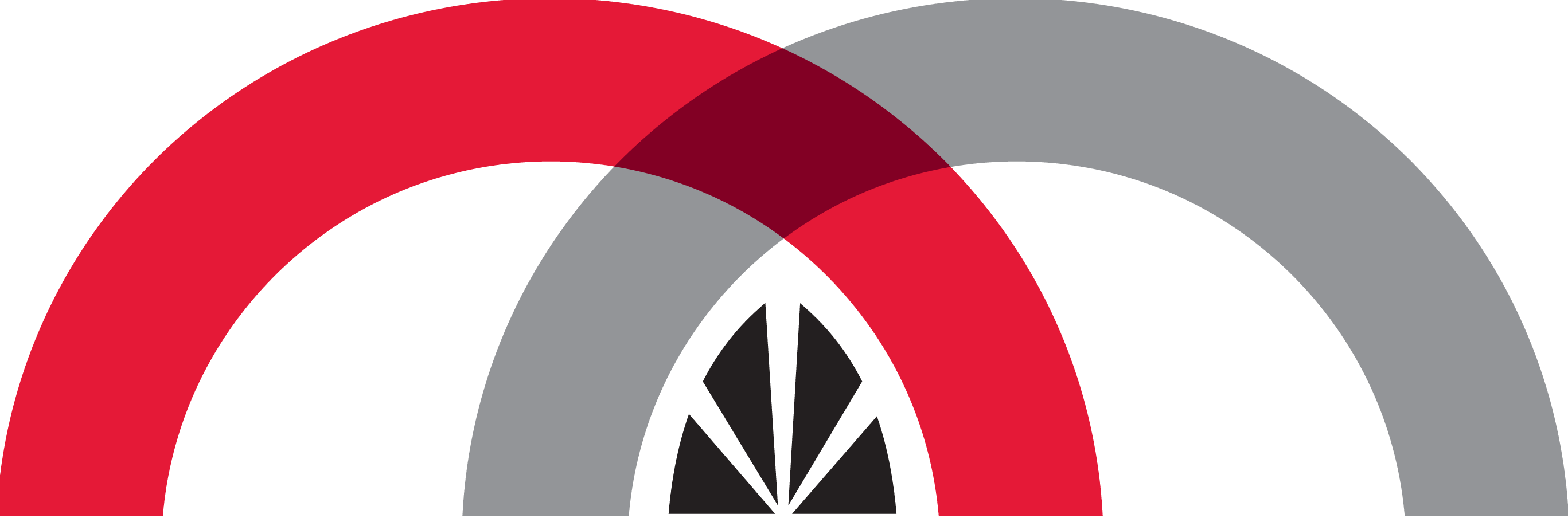 System Logo