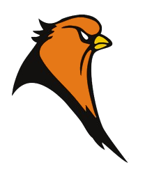 System Logo