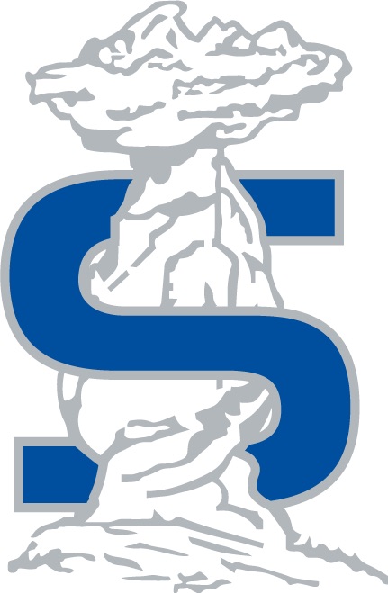 System Logo