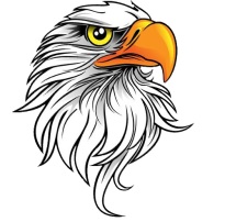System Logo