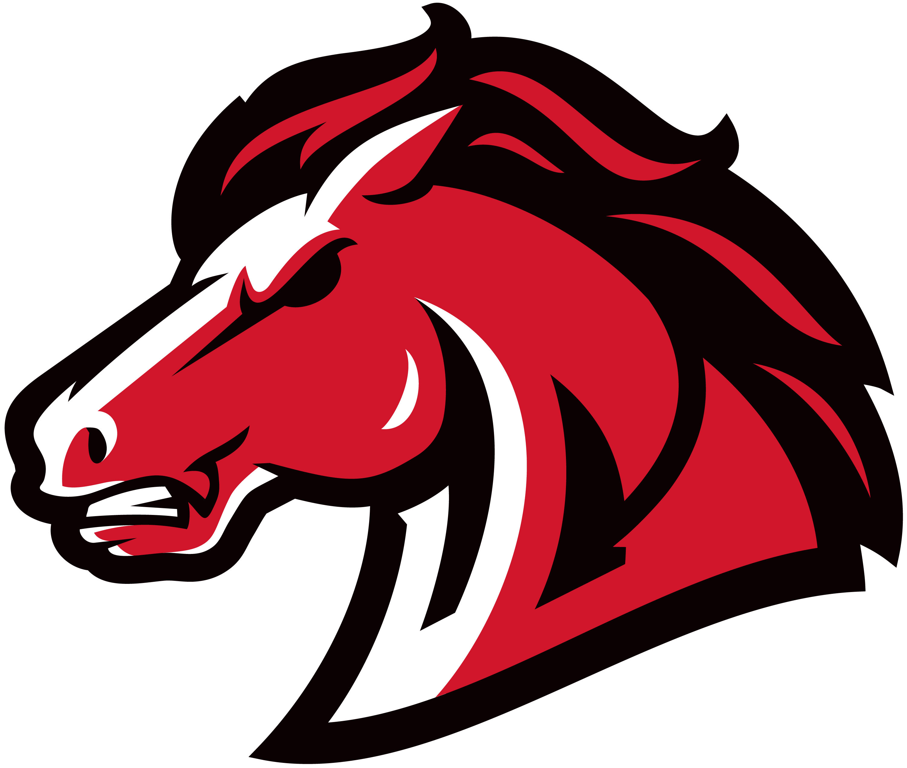 System Logo
