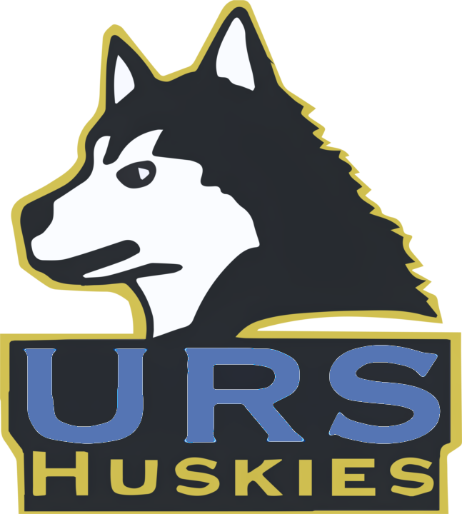 System Logo