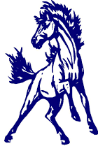 System Logo