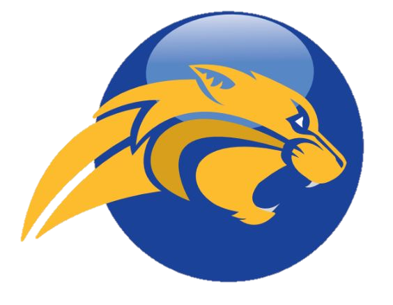 System Logo