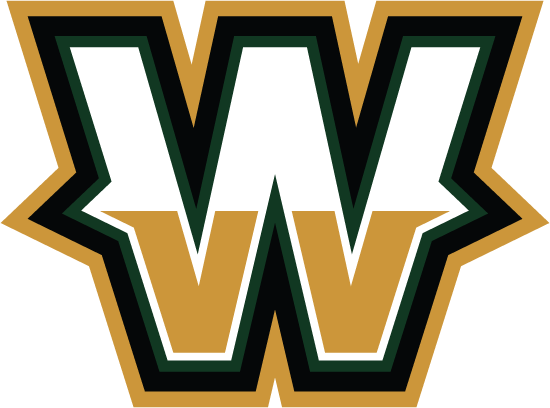System Logo