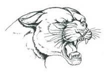 Riverside Beaver County School District Logo